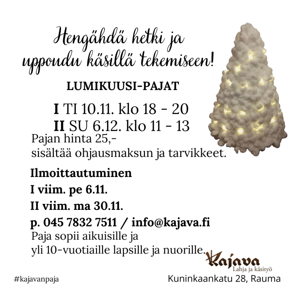 2026 Paja Kuusi 1024x1024